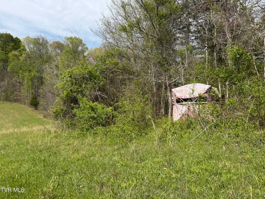 Photo #31: 0 Long Town Road