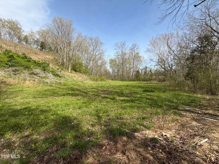 Photo #31: 887 Berry Road