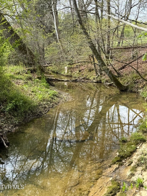 Photo #34: 887 Berry Road