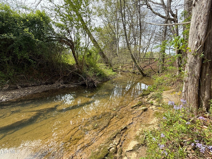 Photo #38: 887 Berry Road