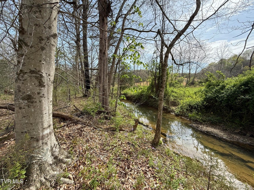 Photo #40: 887 Berry Road