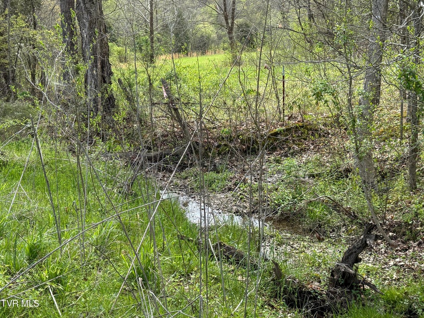 Photo #41: 887 Berry Road