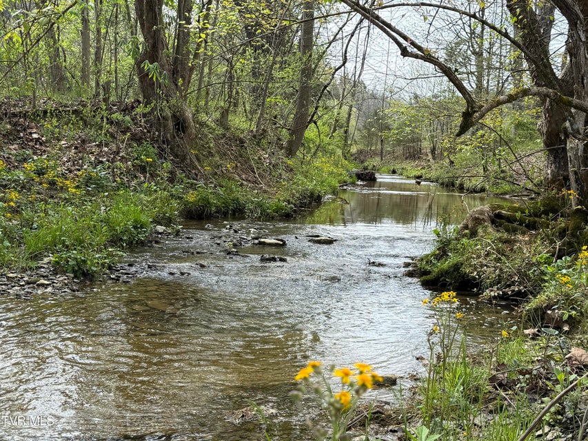 Photo #43: 887 Berry Road
