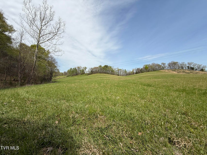 Photo #46: 887 Berry Road