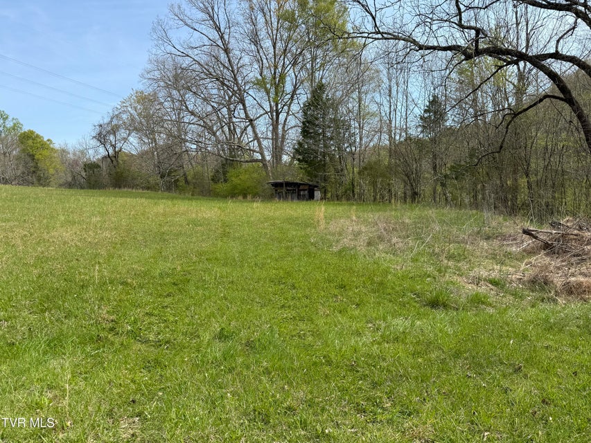 Photo #48: 887 Berry Road