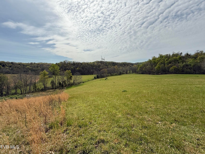 Photo #53: 887 Berry Road