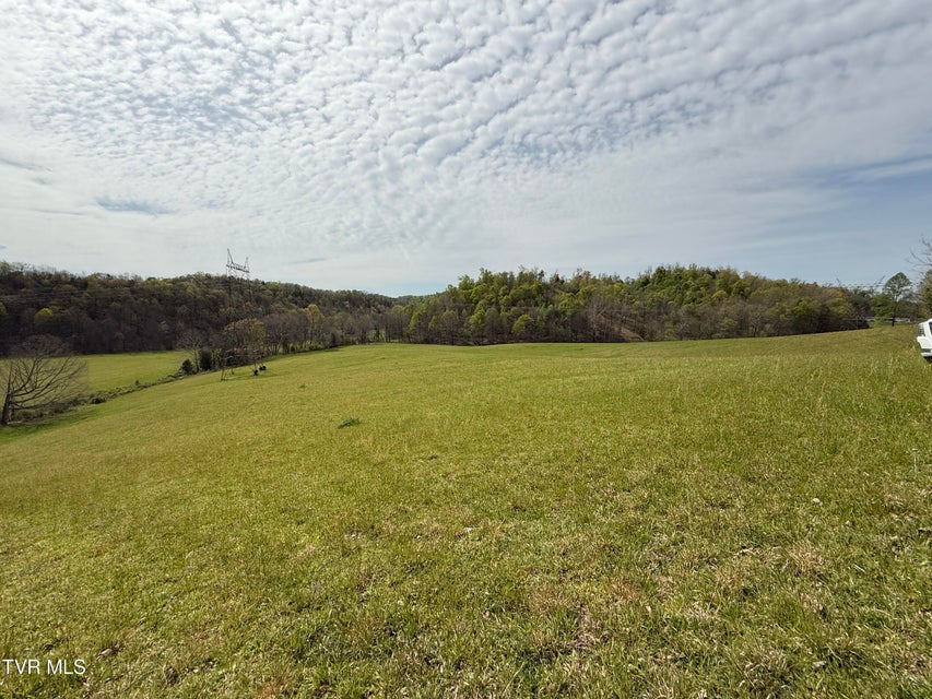 Photo #54: 887 Berry Road