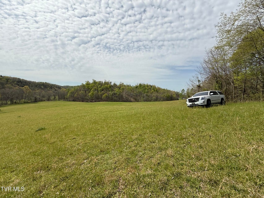 Photo #55: 887 Berry Road