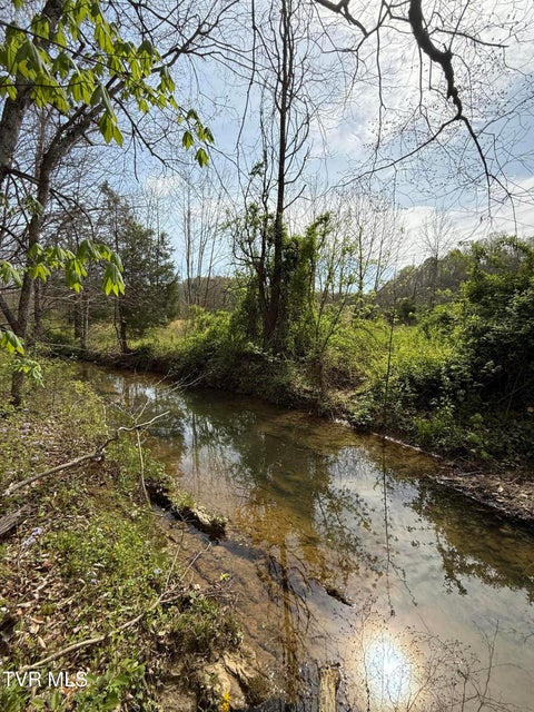 Photo #35: 887 Berry Road