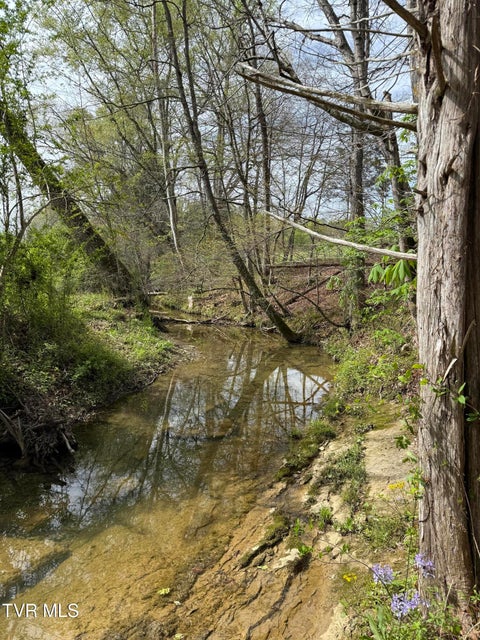 Photo #33: 887 Berry Road