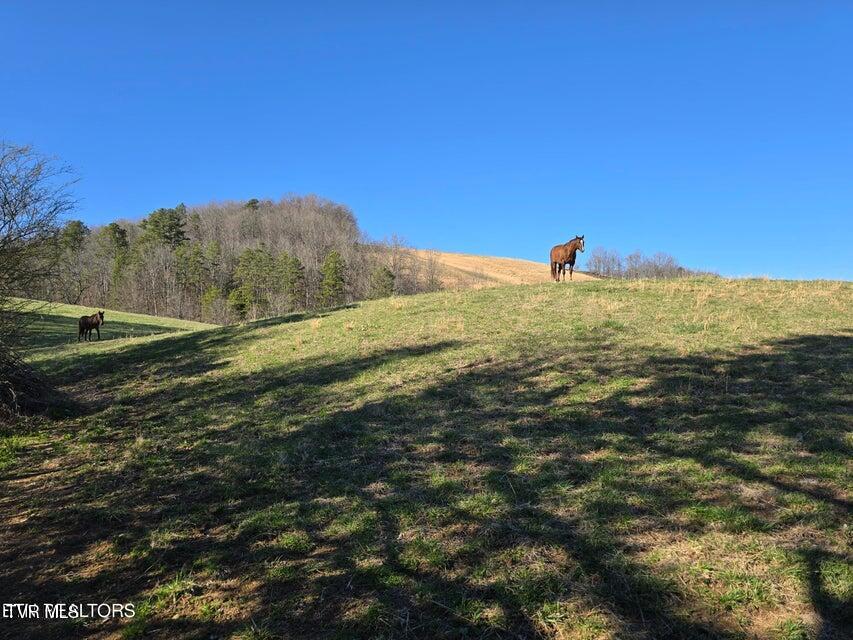 Photo #14: 2885 Dry Valley Road