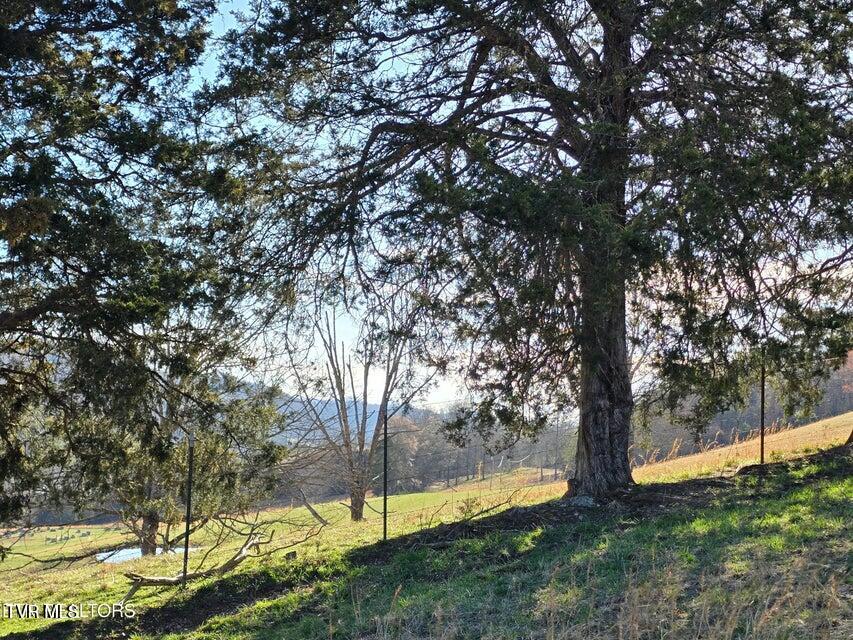 Photo #48: 2885 Dry Valley Road