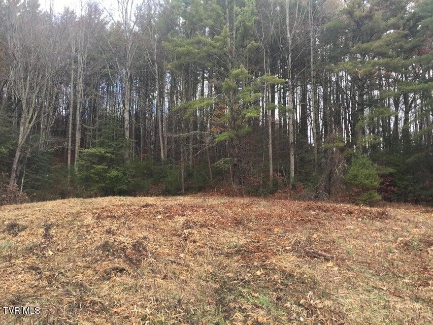 Photo #4: 00 Heaton Branch Road