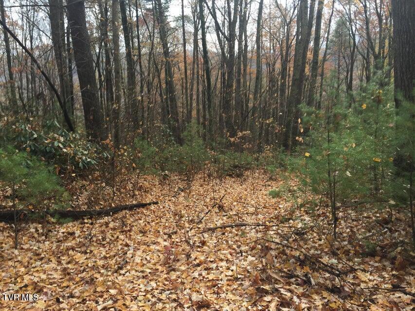 Photo #5: 00 Heaton Branch Road