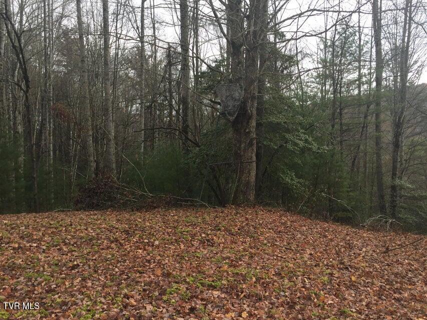 Photo #6: 00 Heaton Branch Road