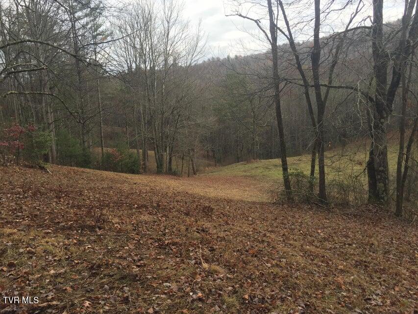 Photo #8: 00 Heaton Branch Road