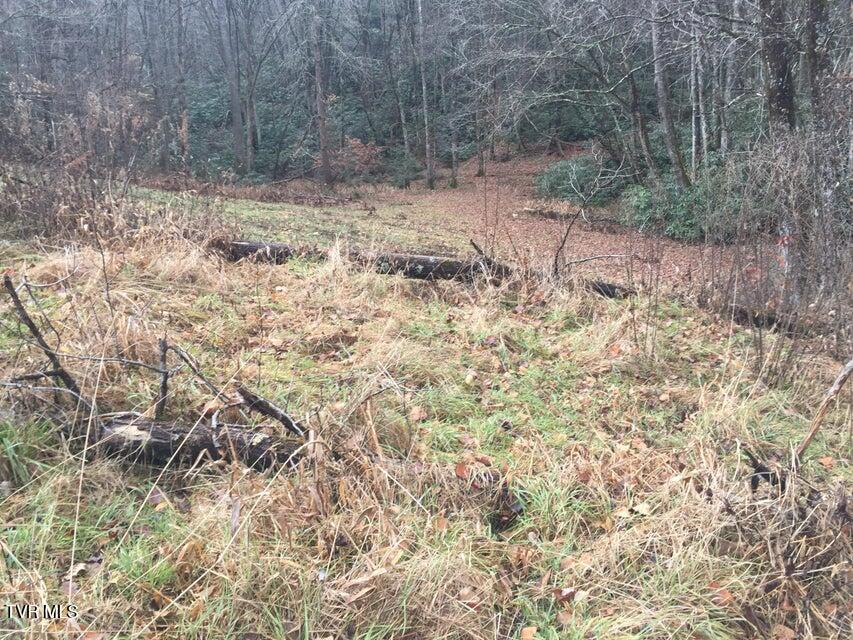 Photo #9: 00 Heaton Branch Road