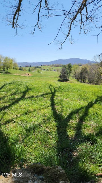 Photo #8: 0 Dry Hill Road