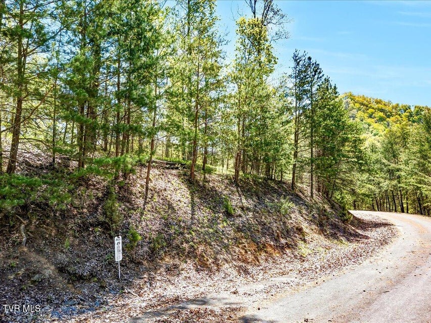 Photo #7: Lot 49 Hickory Knoll Circle
