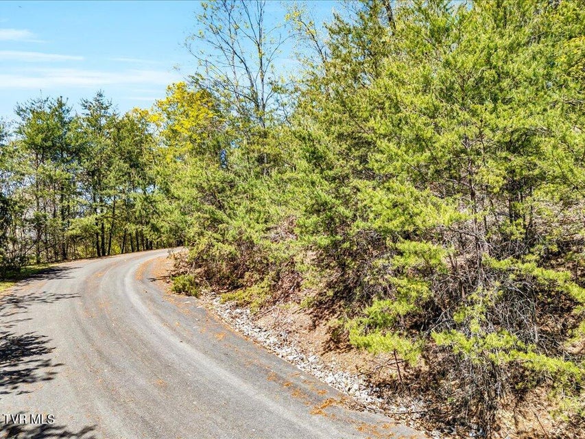Photo #8: Lot 49 Hickory Knoll Circle