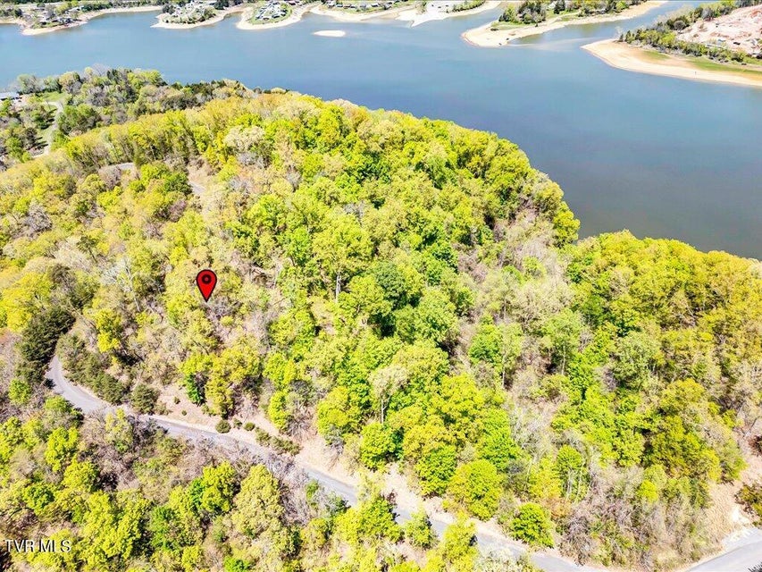 Photo #20: Lot 49 Hickory Knoll Circle