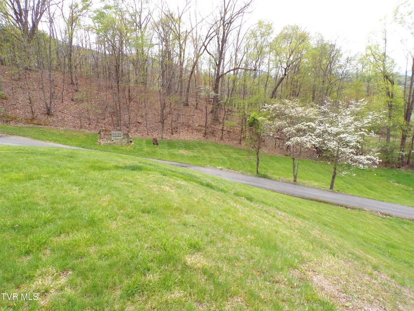 Photo #40: 3500 Glen Echo Drive