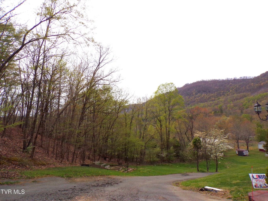 Photo #39: 3500 Glen Echo Drive
