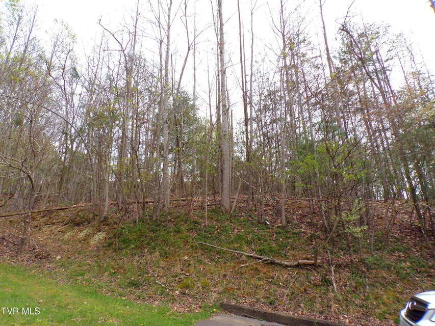 Photo #37: 3500 Glen Echo Drive