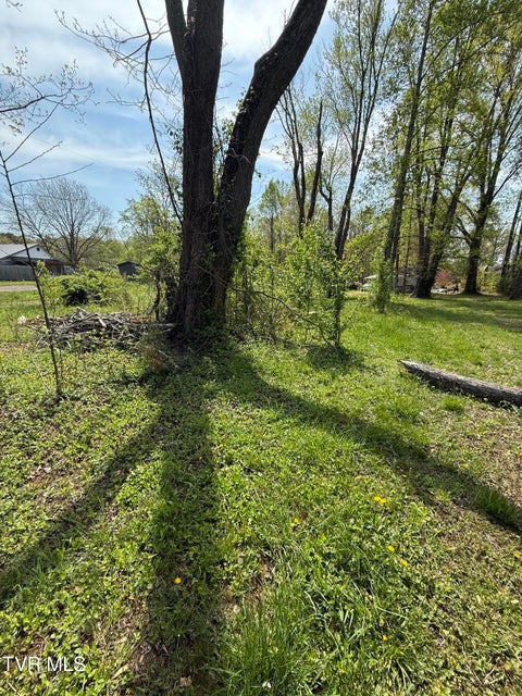 Photo #3: 116 Tranbarger Road