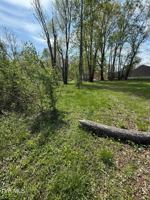 Photo #4: 116 Tranbarger Road