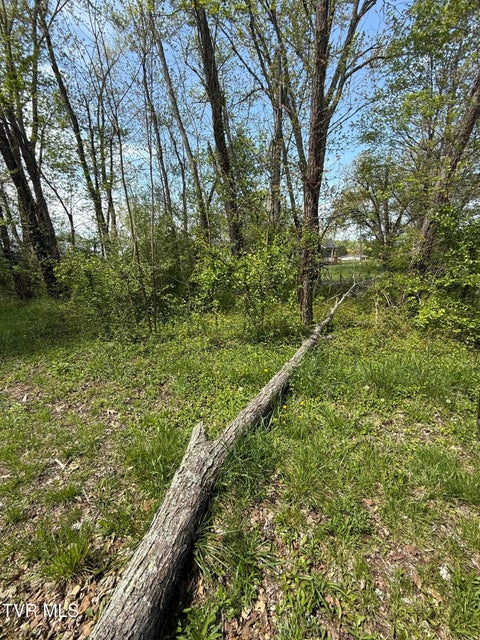 Photo #6: 116 Tranbarger Road