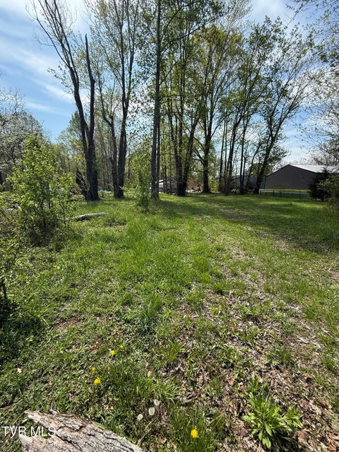 Photo #8: 116 Tranbarger Road