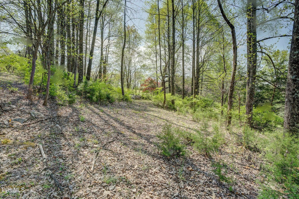 Photo #33: 120 Dukes Drive