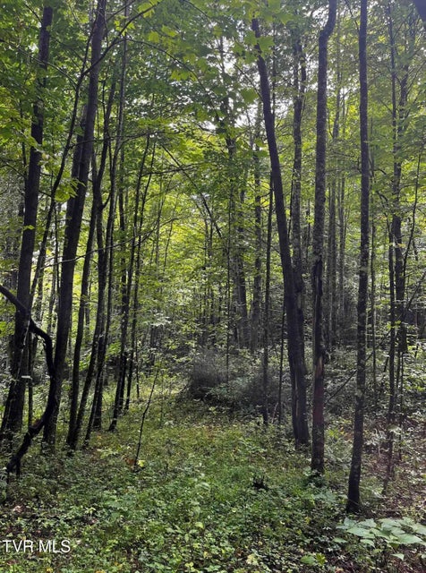 Photo #6: 1259 Heaton Branch Road