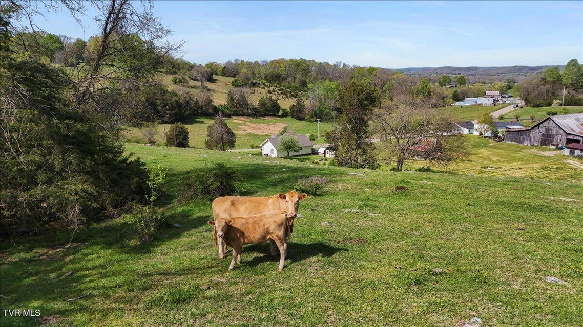 Photo #14: 201 Olde Farm Drive