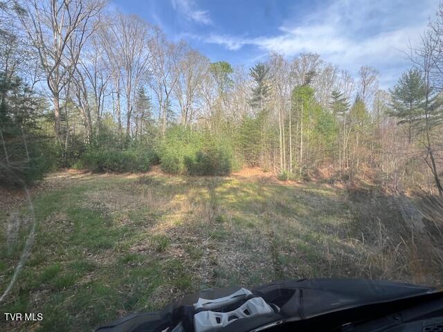 Photo #7: Tbd Spivey Mountain Road Road