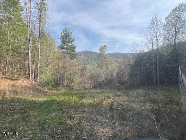 Photo #8: Tbd Spivey Mountain Road Road