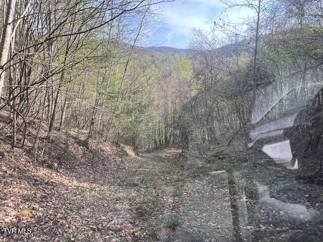 Photo #11: Tbd Spivey Mountain Road Road