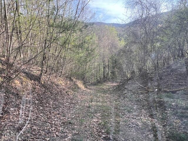 Photo #12: Tbd Spivey Mountain Road Road