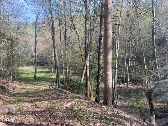Photo #13: Tbd Spivey Mountain Road Road