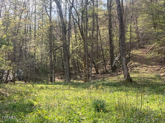 Photo #17: Tbd Spivey Mountain Road Road