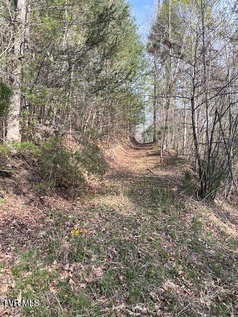 Photo #9: Tbd Spivey Mountain Road Road
