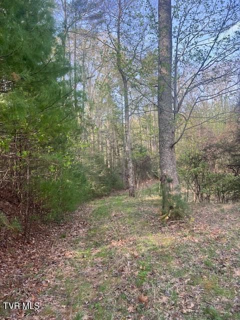 Photo #6: Tbd Spivey Mountain Road Road