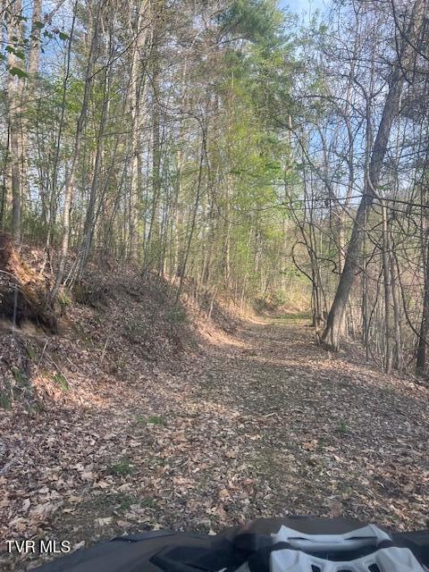 Photo #5: Tbd Spivey Mountain Road Road