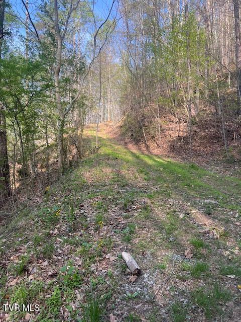 Photo #2: Tbd Spivey Mountain Road Road