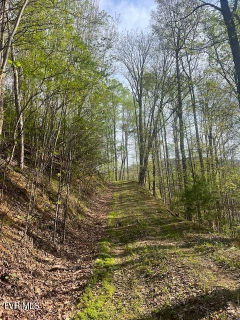 Photo #3: Tbd Spivey Mountain Road Road
