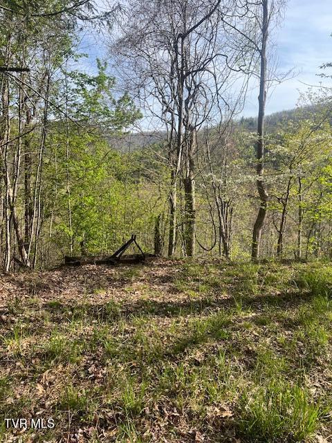 Photo #4: Tbd Spivey Mountain Road Road