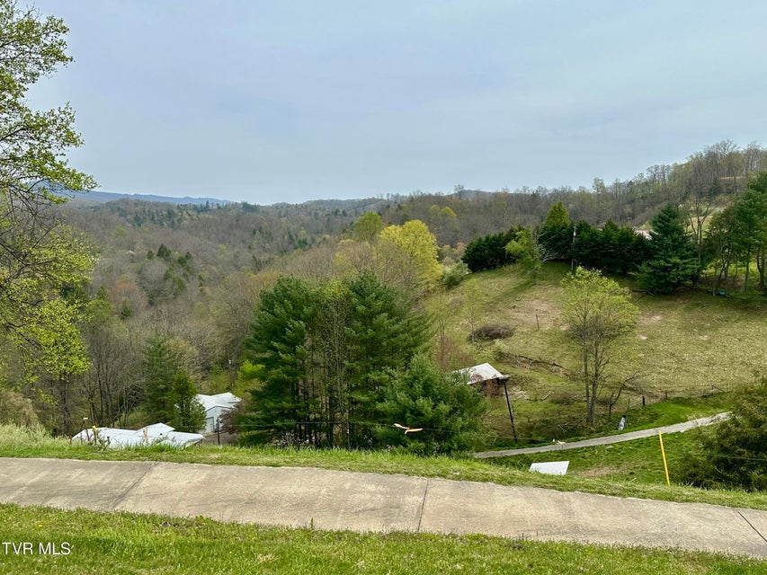 Photo #5: 1456 Osbornes Gap Road