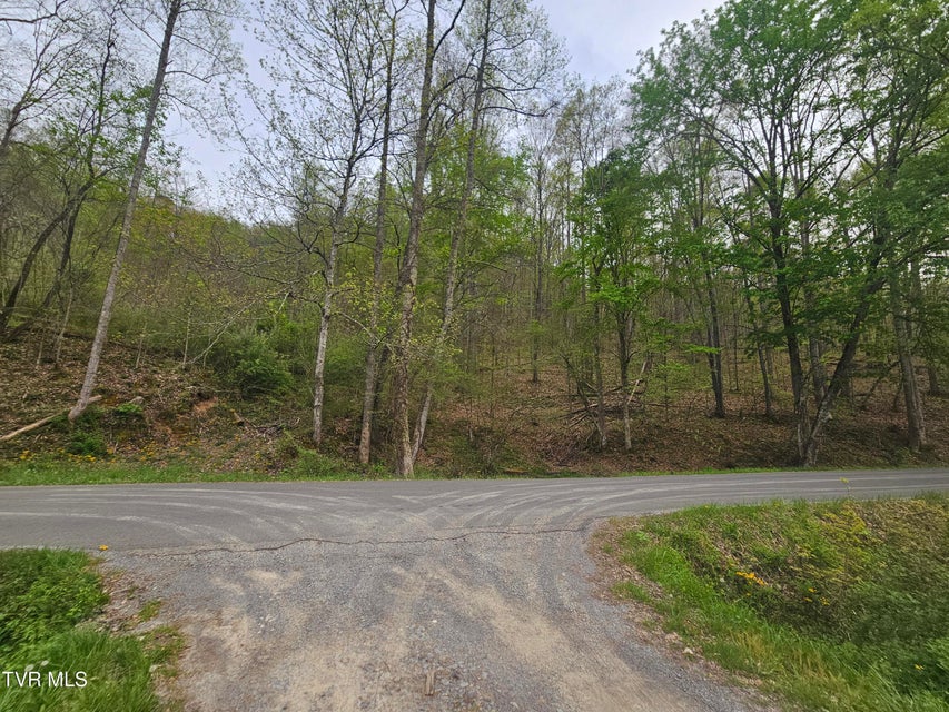 Photo #8: 2320 Left Poor Valley Road