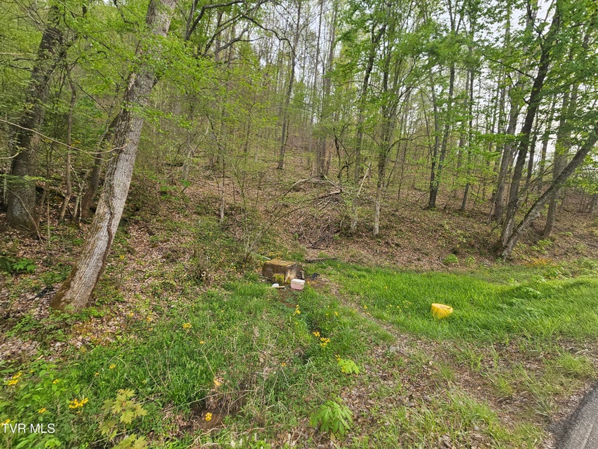 Photo #11: 2320 Left Poor Valley Road